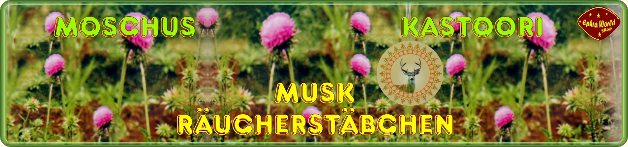 Räucherstäbchen Shop - Moschus Musk Räucherstäbchen