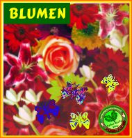 Blumen-Räucherstäbchen — 450+ florale Düfte ab 0,75 €