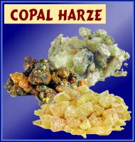 Copal Räucherharz — 15+ Sorten Azteken-Weihrauch ab 2,25 €