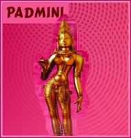 Padmini ist ein indischer Hersteller außergewöhnlicher Räucherstäbchen. Würzig-süße Nag Champas, blumige Brindavans und mehr. Hier mit Liebe kaufen. Hier frisch bestellen.