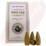 Ayurvedic White Sage Masala Rückfluss-Räucherkegel