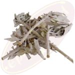 Weißer Salbei Clusters Räucherkraut 25g