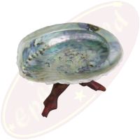 Abalone Muschel 12-14cm mit Kobra Holzdreifuß 15cm