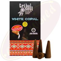 Hari Darshan Tribal Soul Backflow XL Rückfluss-Räucherkegel White Copal