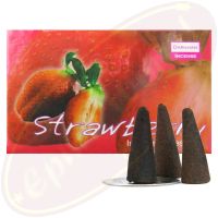 Darshan Strawberry Räucherkegel