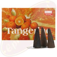 Darshan Tangerine Räucherkegel