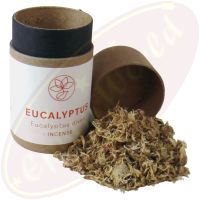 Flora Perpetua Eucalyptus Räucherholz 30ml Pappdose
