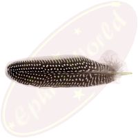 Feder gepunktet 16-20cm