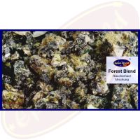 Forest Blend Räucherharz Mischung 100g