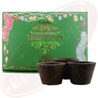 Goloka Räucherkohle-Töpfchen & Räucherharz Tree Of Life