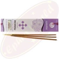 Goloka Yoga Positivity Pranayam Masala Räucherstäbchen