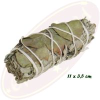 Smudge Stick White Sage & Eucalyptus 25-30g