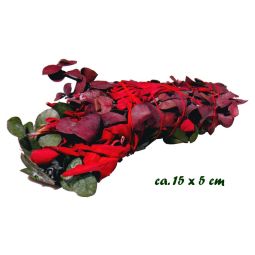 Smudge Stick Eucalyptus & Dragon´s Blood 30-40g