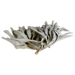 Weißer Salbei AA Clusters Räucherkraut 25g