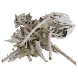 Weißer Salbei Clusters Räucherkraut 25g