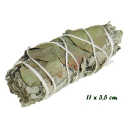 Smudge Stick White Sage & Eucalyptus 25-30g