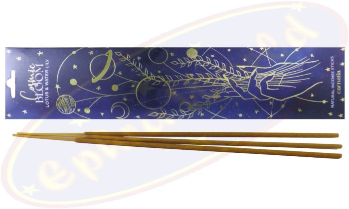 Carnatia Cosmic Bloom Natural Räucherstäbchen