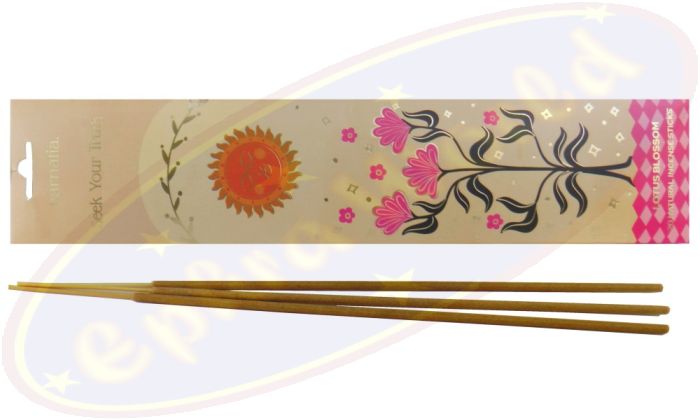 Carnatia Seek Your Truth Lotus Blossom Flora Räucherstäbchen