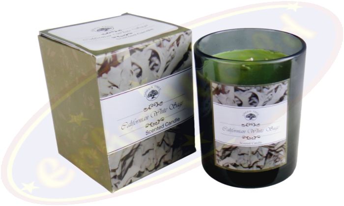 Green Tree Duftkerze 210g Californian White Sage