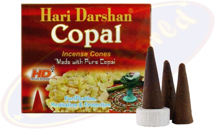 Hari Darshan Copal Räucherkegel