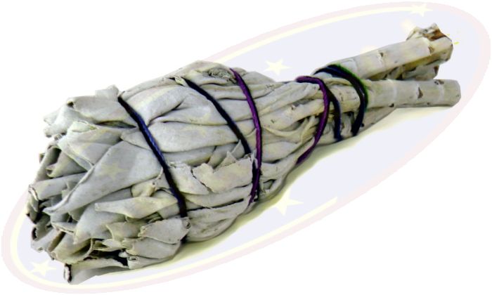 Smudge Stick White Sage Tulip ca. 25g