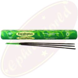 bic Brand Eucalyptus Räucherstäbchen