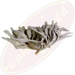 Weißer Salbei AA Clusters Räucherkraut 25g