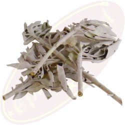 Weißer Salbei Clusters Räucherkraut 25g
