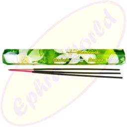 Darshan Gardenia Räucherstäbchen