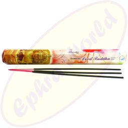 Darshan Lord Buddha Räucherstäbchen