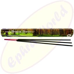 Darshan Tropical Forest Räucherstäbchen