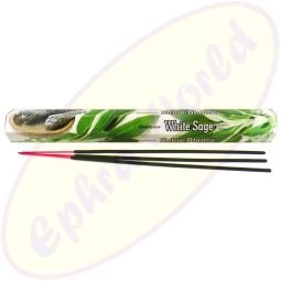 Darshan White Sage Räucherstäbchen