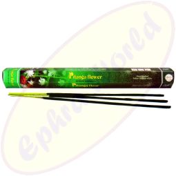 Flute Brand Pitanga Flower indische Räucherstäbchen