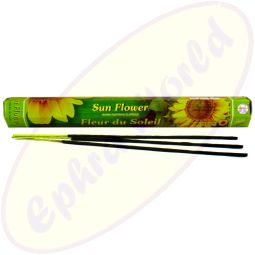 Flute Brand Sun Flower indische Räucherstäbchen