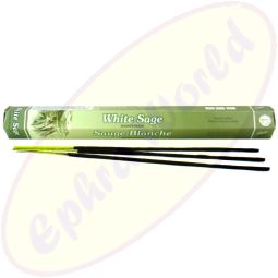 Flute Brand White Sage indische Räucherstäbchen