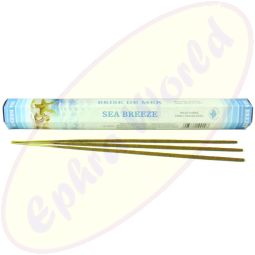 Green Tree Sea Breeze Flora Räucherstäbchen
