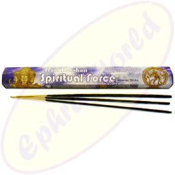 Hari Darshan Spiritual Force indische Räucherstäbchen