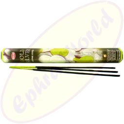 HEM Gold Silber indische Räucherstäbchen