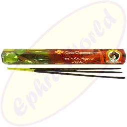 SAC Coco Cinnamon indische Räucherstäbchen