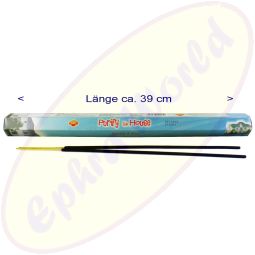 SAC Purify The House XL Räucherstäbchen (Garten)