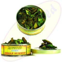 Song Of India Indian Summer Räucherholz 25g von R.Expo