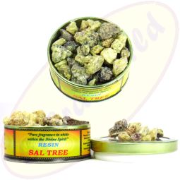 Song Of India Sal Tree Räucherharz 60g von R.Expo