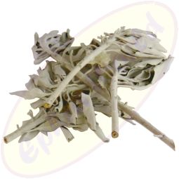 Weißer Salbei Clusters Räucherkraut 25g