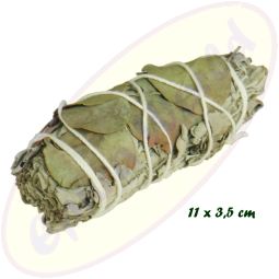 Smudge Stick White Sage & Eucalyptus 25-30g