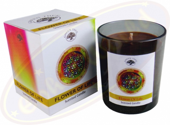 Haddonfield Duftkerze Im Glas – 210 G Mit Apfel-Duft, Aus Bio-Sojawachs, Brenndauer Ca. 32 Stunden