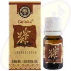 Goloka ätherisches Öl Frankincense (Weihrauch)