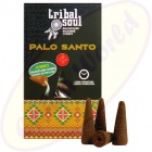 Hari Darshan Tribal Soul Backflow XL Rückfluss-Räucherkegel Palo Santo