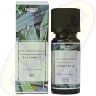 Pajoma Eukalyptus ätherisches Duftöl