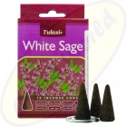 Tulasi White Sage Räucherkegel