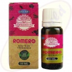 Ullas Organic Rosemary 100% Natural Fragrance Oil/Duftöl